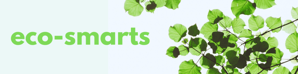 Laurie Casey is a freelance writer and editor who is passionate about engaging people about climate change and earth-friendly solutions